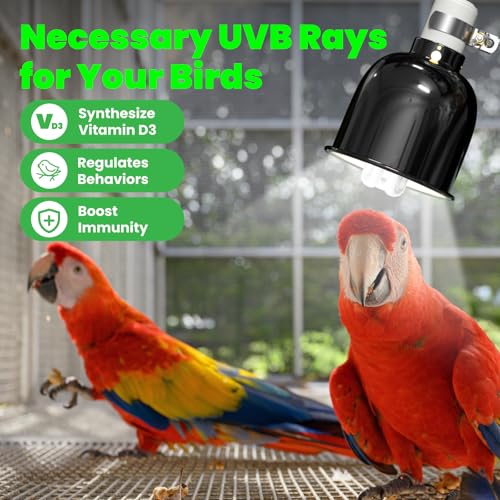 Image of GlowUp Bird Cage Light Fixture Combo Kit, Deep Dome Lampshade with 2.4% UVB Bulb 20W, Bird Light for Captive Birds, Reptiles
