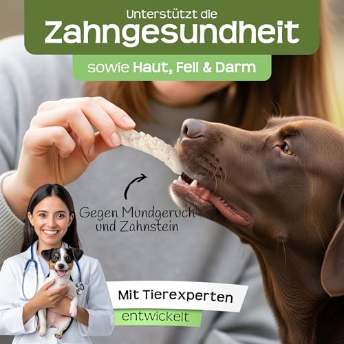RAW Nature Bio-Kokos-Sticks Hundesnack, 300g, 100% Kokos, Zahnpflege – Ansicht 5