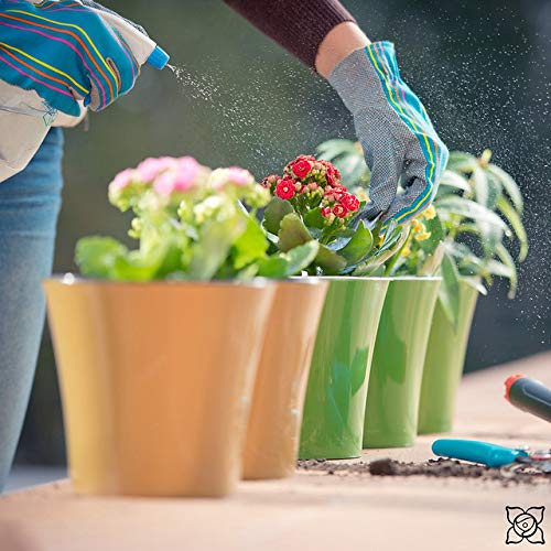 Santino, Self Watering Planter Arte 6.5 Inch Green-Gold/White, Indoor Flower Pot For All House Plants, Flowers, Herbs, Succulents #TOP4