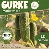Little Plants BIO Gurke Samen 10 Gurkensamen Marketmore Gemüsesamen für Gemüsegarten Topf Samenfest Gemüse Samen für Küche, Balkon und Garten