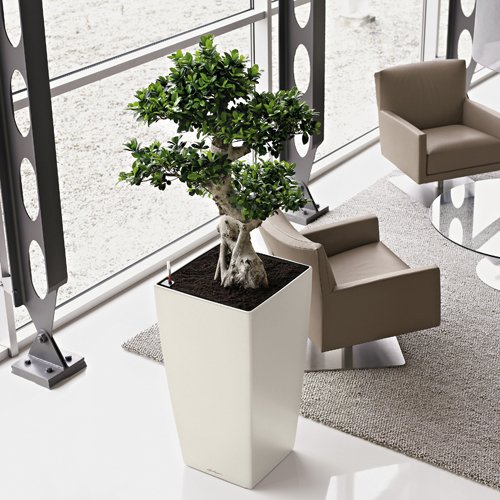 Amazon | 【Lechuza】レチューザ・CUBICO（キュービコ）全6色・灌水