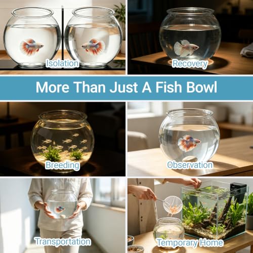Image of Koller Products 1-Gallon Plastic Round Fish Bowl, Hospital Fish Tank for Betta Guppy Tetra Zebrafish Shrimp, Temporary Tank for Fry, Isolation, Fish Breeding, Classroom Education and Decoration