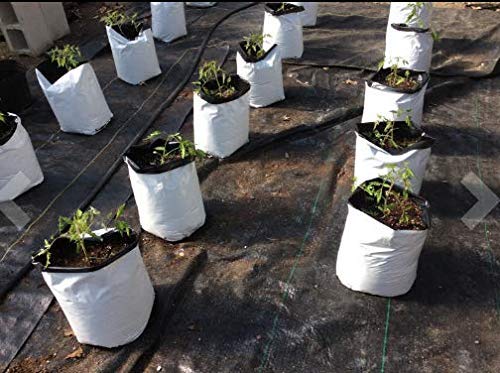 Image of Poly Grow Bags,Plant Nursery Bag, Grow Bag for Fruit Plants,Grow Bags for Vegetables, Grow Bags for Terrace Garden Size 20x20x35 cm 25pcs