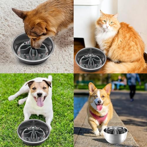 MOAZIFI Anti Schling Napf für Hunde und Katzen - Antischlingnapf mit Einfügen
