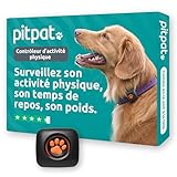 PitPat