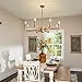 ASGYISA 8-Light Gold Candle Chandeliers Modern Farmhouse Ceiling Light Fixture Industrial Lighting for Dining Room Living Room Bedroom Kitchen Island Foyer