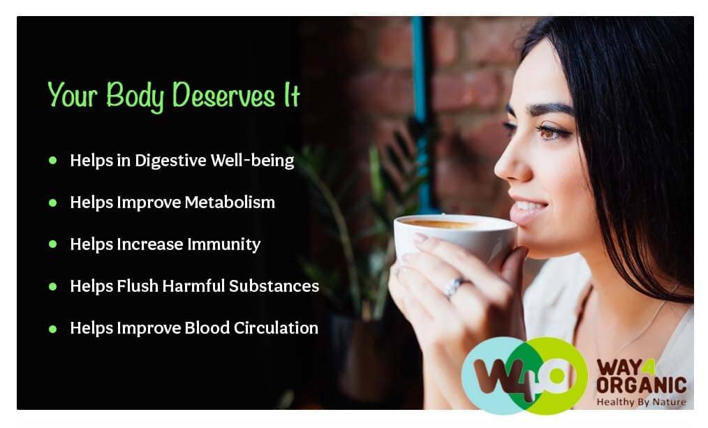 Detox and Digest CCF Tea with Ginger, Turmeric and Licorice Tea 8 Ounces (Pack of 1), 11 Herbs Benefits in One Tea - Image 7