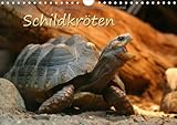 Autor:Mielewczyk Barbara Schildkröten (Wandkalender 2014 DIN A4 quer): Schöne Fotos von Schildkröten zu Land und zu Wasser (Monatskalender, 14 Seiten)