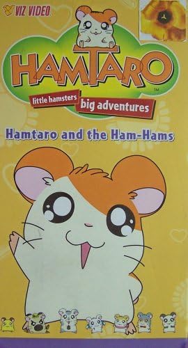 Hamtaro and the Ham-Hams