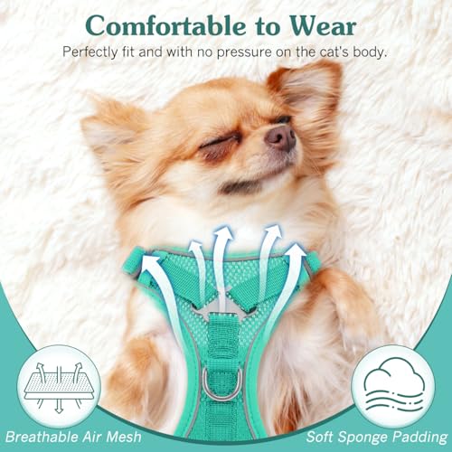 VavoPaw Cat Harness and Leash Set for Walking, Adjustable Kitten Vest Harness with Reflective Strip Breathable Mesh, Escape Proof Soft Pet Safety Vest for Cats, Kittens, Puppies, XL, Lake Blue - Thumbnail 2