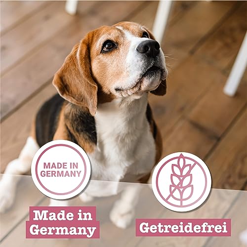 Chewies Fleischstreifen Maxi aus 100% Lamm - 150 g - Fleischstreifen für Hunde - getrocknete Lammfleisch Kaustreifen - hypoallergen & getreidefrei - Dörrfleisch vom Lamm