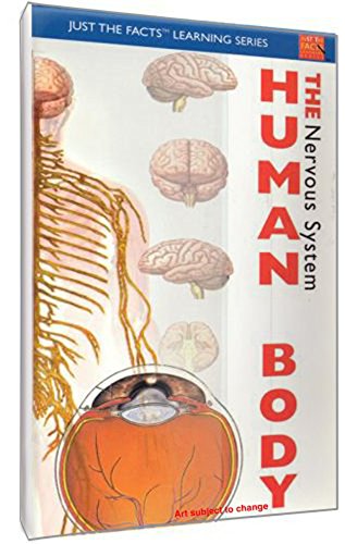 Just The Facts: The Human Body - Nervous System Just The Facts: The Human Body - Nervous System