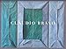 Claudio Bravo: Recent Work October 21-November 27, 2010