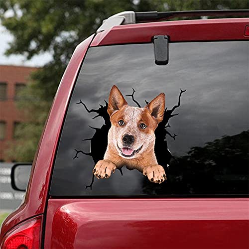 Ocean Gift Red Heelers Car Decals, Dog Car Stickers Pack of 2 - Realistic Red Heelers Stickers for Car Windows, Walls Series 103 Size 12" x 12"