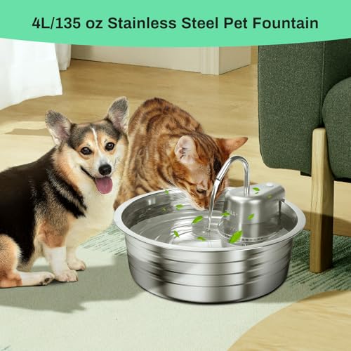 Fontaine à eau pour chat en acier inoxydable durable et hygiénique - 8
