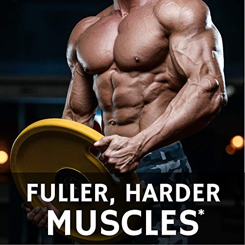 https://m.media-amazon.com/images/I/511pvLss2oL._SL500_.jpg