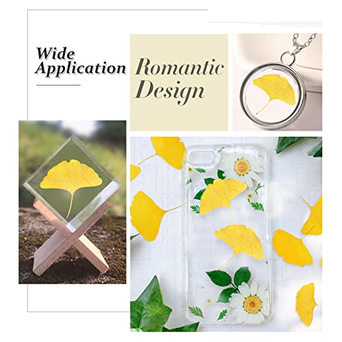 Hojas secas de Ginkgo para manualidades 42 piezas miniatura 5