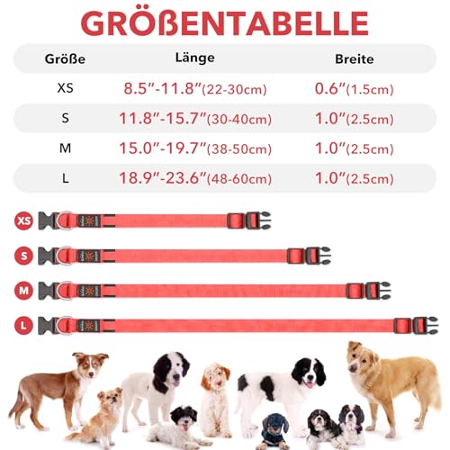Illumifun Leuchthalsband Hund Aufladbar LED Hundehalsband Wasserdichtes Leuchthalsband für kleine und große Hunde, Hundelichter für nächtliche Spaziergänge (Rot, L)