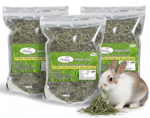 Image of Alfalfa Hay, Food for Rabbits, Guinea Pig, Hamsters and Other Small Animals (400 GMS) (Pack of 3)