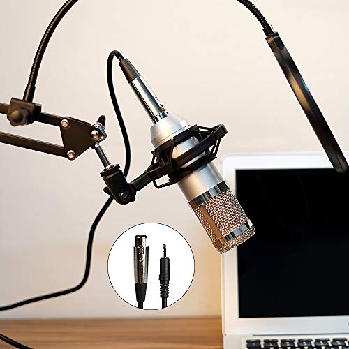 Microphone condensateur 3.5mm pour enregistrement et chant sur PC