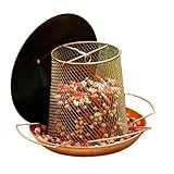 canaris rouge intensif en tunisie Observation des oiseaux améliorée : dotée d'un perchoir multi-oiseaux et d'un sol en maille anti-piège, la mangeoire à oiseaux de jardin prend en charge l'alimentation simultanée des pinsons et des merles bleus, améliorant l'attraction de la faune et offrant un environnement vivant d'observation des oiseaux pour les amateurs de nature à la maison