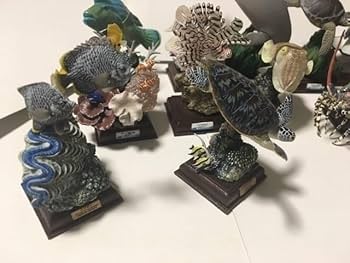 Amazon.co.jp: ネイチャーテクニカラー 鳥羽水族館 シークレット