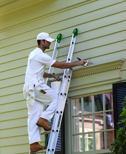 Louisville Ladder AE4220PG, 20 Feet