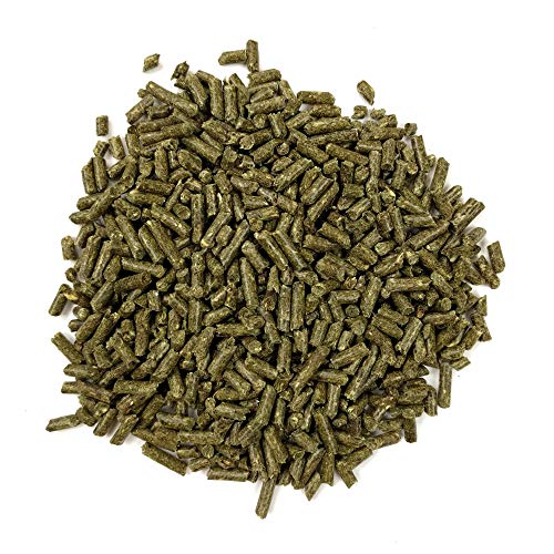 Oxbow Essentials Adult Guinea Pig Food - All Natural Adult Guinea Pig Pellets - 10 Lb. #TOP4