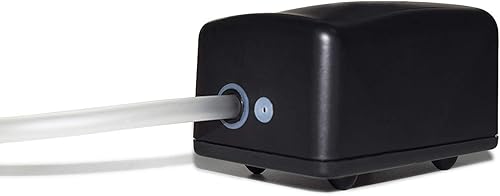 Miniatura 4 de Lewisia Bomba de aire solar de 2.5 W con manguera de aire y aireador de estanque de piedra de burbujas oxigenador de burbujas