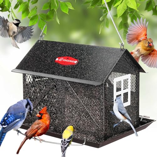 Kingsyard Metal Bird Feeder 5lb with Seed Tray & Perch