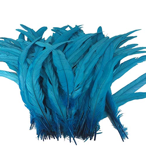 Sowder Turquoise Rooster Coque Tail Feathers 13-16inch Lengh Pack of 50