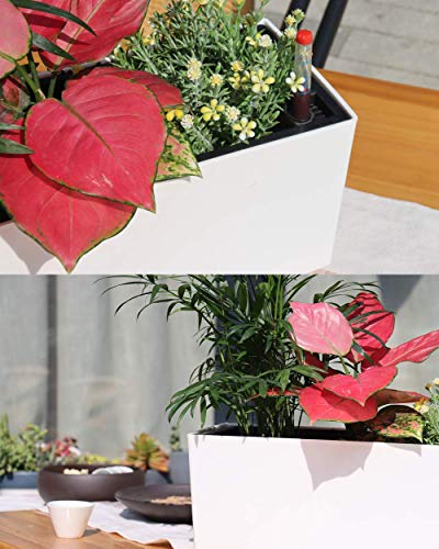 Sarosora 14" Rectangle Self Watering Planter With Water Level Indicators For Plants & Flower Home Garden Outdoor Indoor Succulent | Herb Pots | Window Box (1, White) #TOP5
