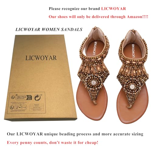 Women's Flat Sandals Womens Sandals Bohemian Dressy Casual Summer Flats Shoes Open Toe Zipper Beach Sandal3