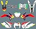 LYFCANIA PJDST-10 Personalizzato 3M Motorcycle Decalcomanie Adesivi Grafica Grafica Kit Decalcomania Compatibile con KTM Exc XCW XCF-W 2014 2015 2016 hnlyf (Color : Ordinary)