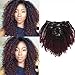 Caliee Afro Kinky Curly Clip in Hair Extension Human Hair Double Weft Unprocessed Remy Natural Black Hair and Red Wine T#1B/99j Clip ins Hair,14 Inch