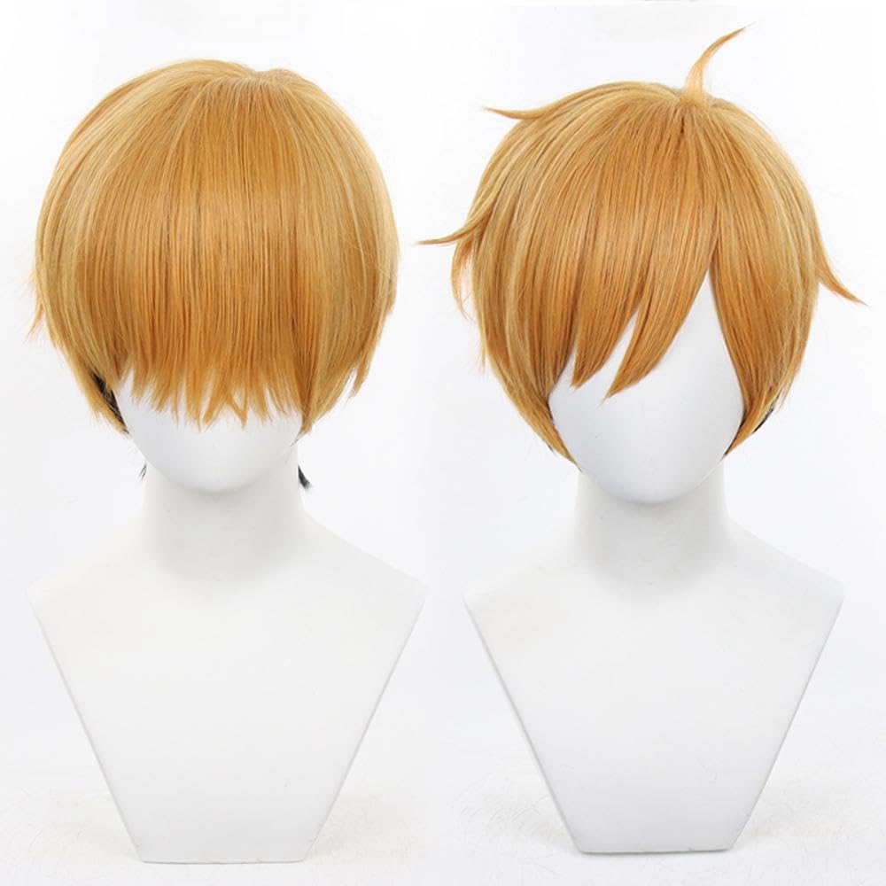 Amazon.co.jp: Eileen 宮侑 (みやあつむ) ウィッグ アニメ ハイキュー