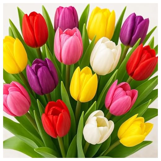 Mixed Color Tulip Bulbs for Planting