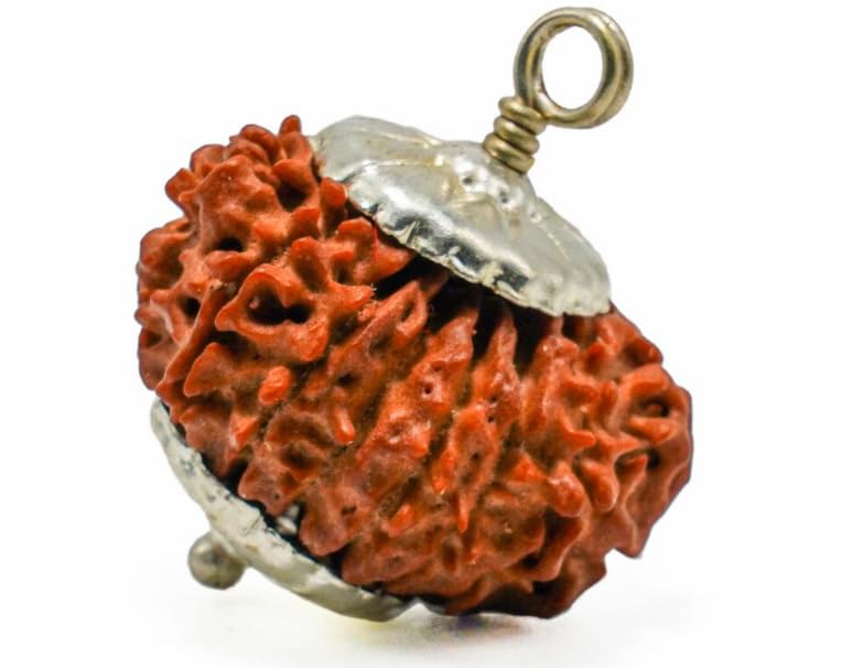 BluDiamond 10 Mukhi Nepali Rudraksha Original Das Mukhi Rudraksh Silver Pendant दश मुखी रुद्राक्ष Ten Face Rudraksha Holy Dash Dus Mukhii Natural 11 Face Rudraksa Bead Blessing Lord Narayana-image-42