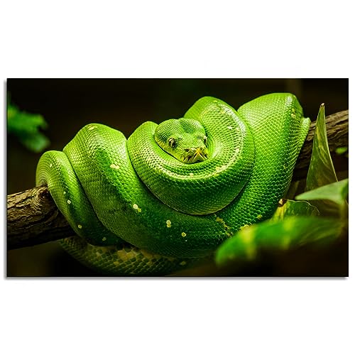heoc Canvas Wall Art Snake Posters Pictures Wall Decor Animal