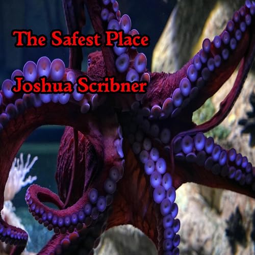 Page de couverture de The Safest Place