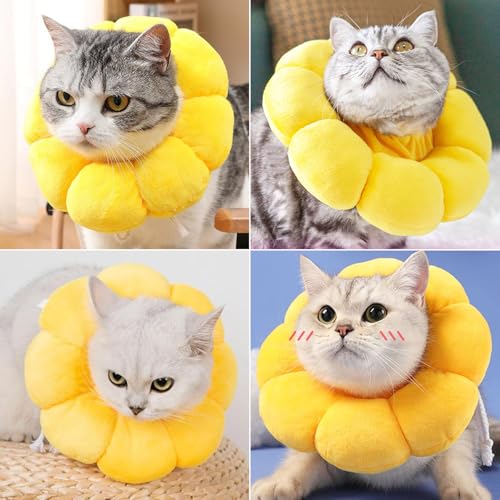 Newpop Halskrause Katze, Leckschutz Einstellbarer Katzenkragen, Halskrausen Katzen, Kragen Halskragen Katze, Schutzkragen Weich, Wiederherstellung Halsband, Klein Hund Nach Operation Katzenhalsband