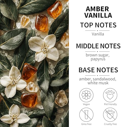 Image of 2-Pack Amber Vanilla Car Air Freshener Hanging Long Lasting Car Scent Essential Oil Diffuser Car Perfume Inspired Fragrances for Men for Women by VUTOLLOSA