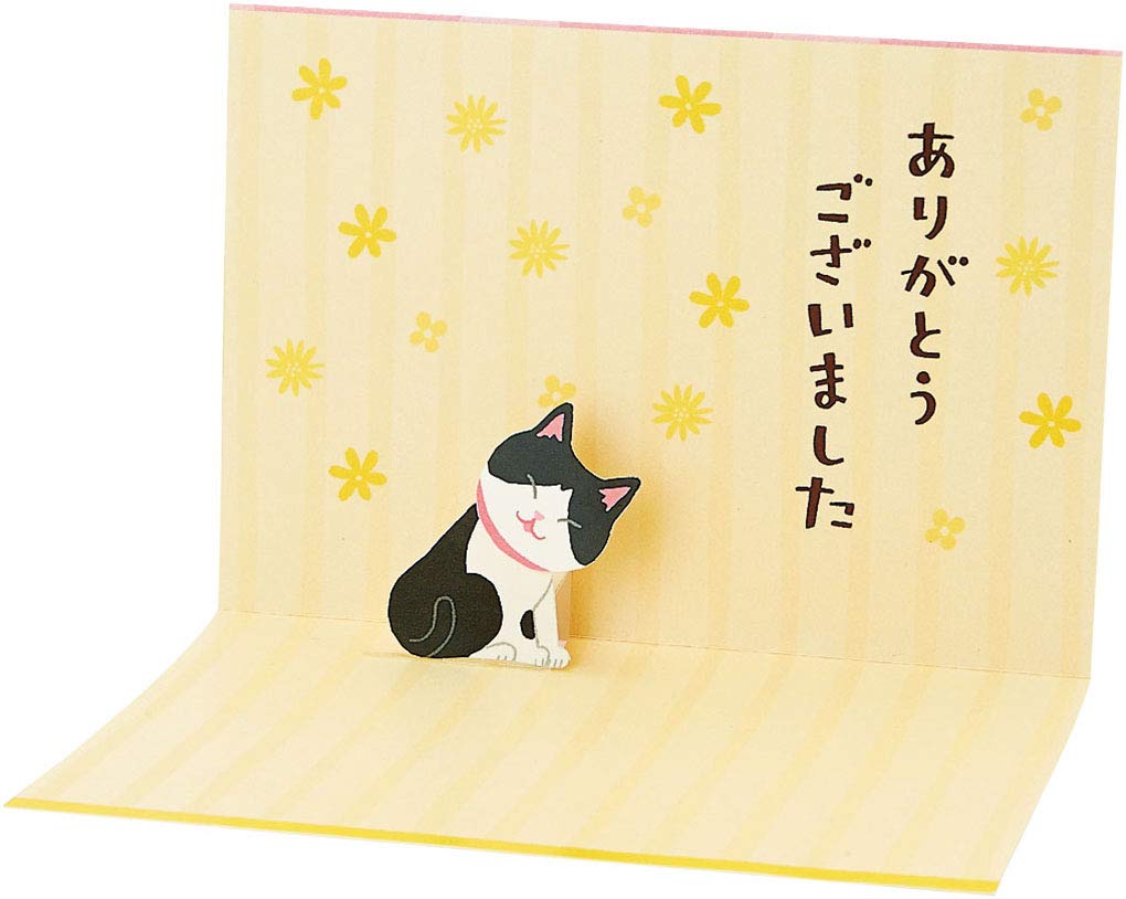 Sanrio Thank You Cat Kotoha Sankyu TY17-9 L 217