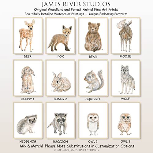 Woodland Animal Nursery Prints Unframed Set Of 4, Pick Your Baby Animals And Print Size, Original Watercolor Art Signed By Artist #TOP3