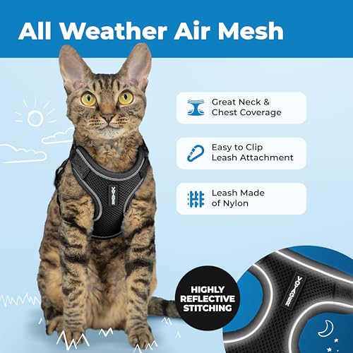 Image of Voyager Escape-Proof Step-in Lock Cat Harness & 5ft Neoprene-Handle Leash Set All-Weather Mesh with Reflective Stitching for Small to Large Cats by Best Pet Supplies, Black (327), XS