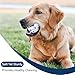 CHEODIN 6 Pcs Dog Balls Tennis Ball for Aggressive Chewers Indestructible Dog Teething Chew Toys for Large Medium Small and Puppies, More Biting-Proof Atom.