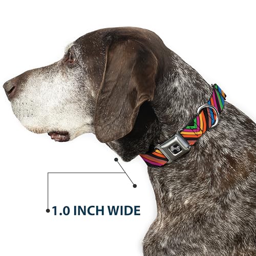 Collier de chien Buckle Down résistant pour éviter les fuites et sécuriser les sorties - 7