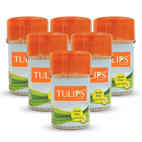 Tulips Wooden Toothpicks 240 Sticks in a Re-Useable Dispenser I M...