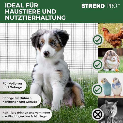 STREND PRO Maschendrahtzaun | Geschweißt - Verzinkt | 1m x 10m | 0,8 mm, 12,7x12,7mm | Kaninchendraht, Hasendraht, Volierendraht für Garten & Tierhaltung | Hasengitter, Hühnerzaun