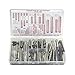 Stainless Steel Slotted Spring Pin Assortment (300 Pieces), Inch, With Case